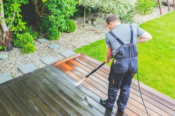 Professional house painter Professional house painter